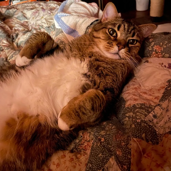 Meet your Posher, Jenny and Andrew - Picture 5 of 11